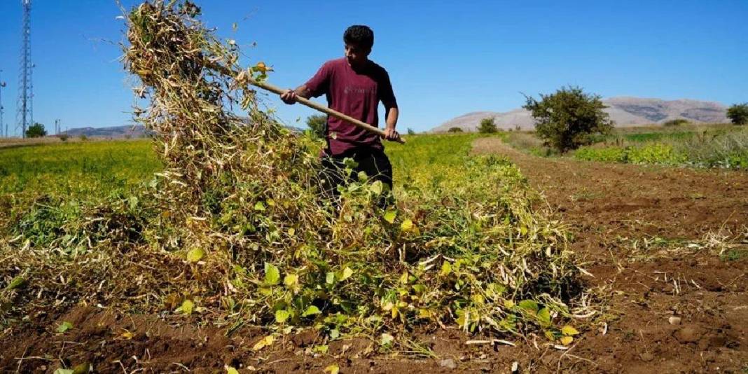 Adı şeker, lezzeti tescilli! Gümüşhane’den tüm Türkiye’ye: Kilosu 250 TL’den çokça satılıyor 1